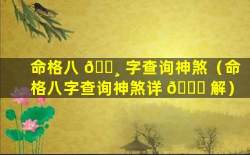 命格八 🕸 字查询神煞（命格八字查询神煞详 🐋 解）